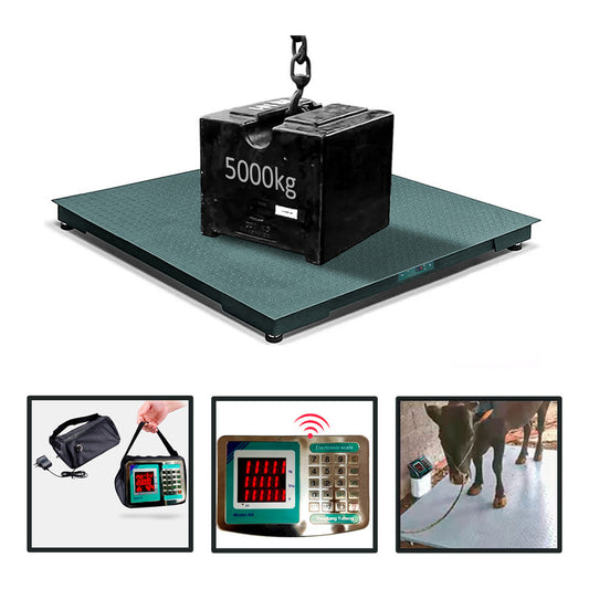Balanza Plataforma Cabezal Inalambrica 100mtrs 1,2x1,2m 5ton