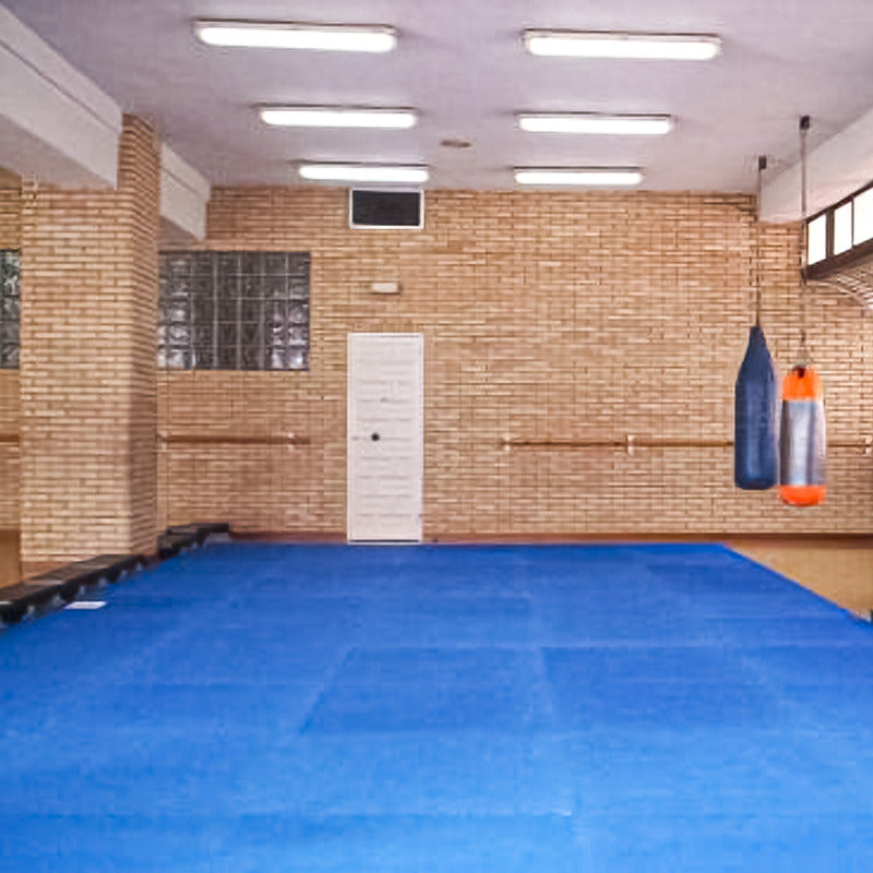 Plancha Tatami 100cm X 100cm X 4cm Rojo Y Azul Boomfit