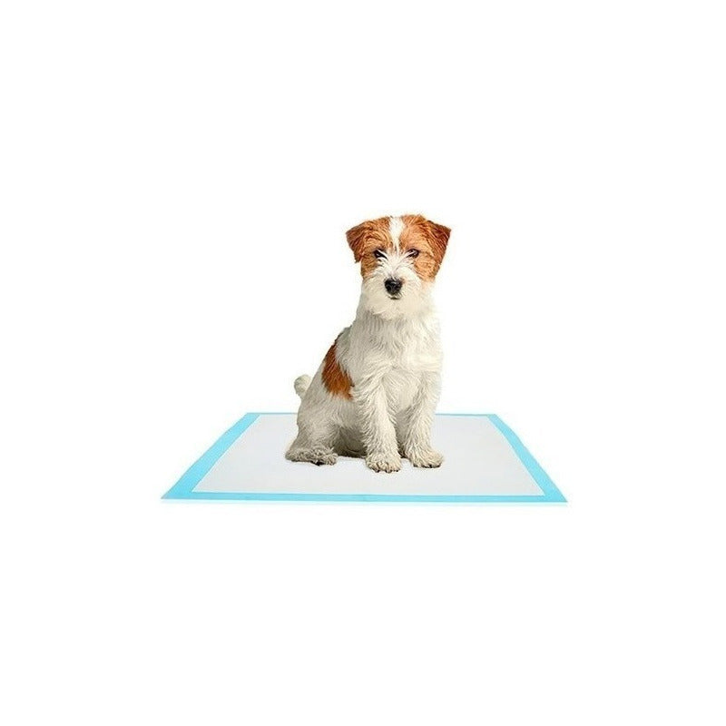 100 Pañales Tipo Sabanillas Mascotas Perros Y Gato 90x60cm