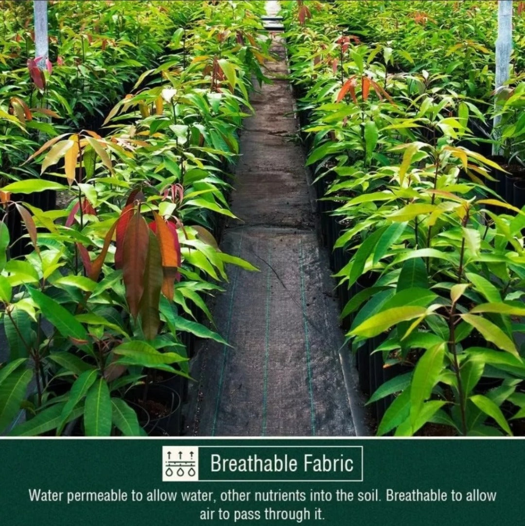 Malla Antimaleza 2x10 Mts Tela Rollo Ground Cover Planta