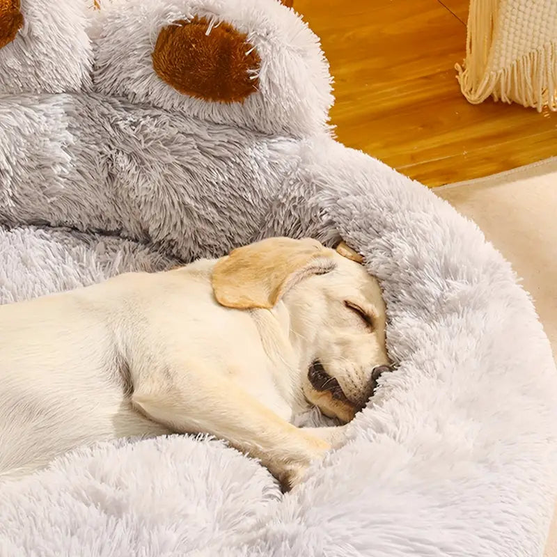 Cama Perro Premium Aspor Pata Lavable Antiestrés 90cm Gris Oscuro