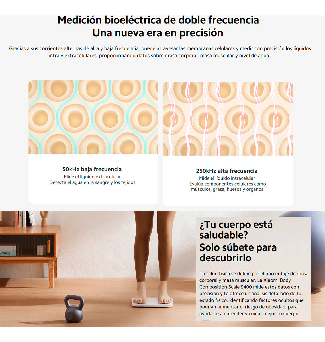 Xiaomi Mi S400 Báscula De Composición Corporal Dexa 150kg Bt Blanco