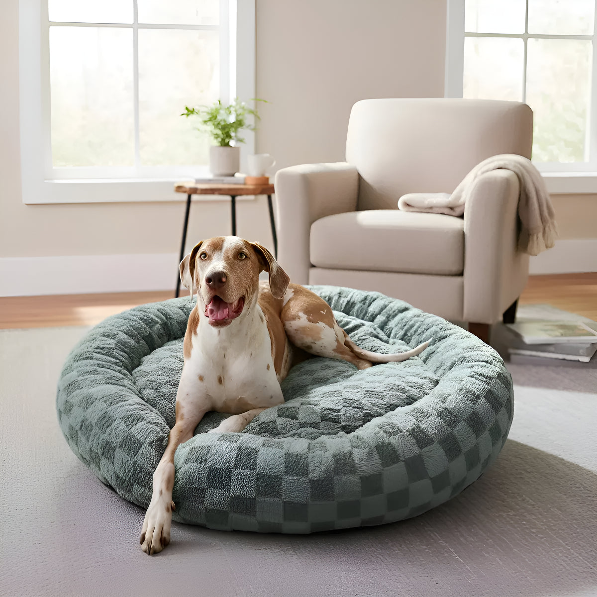 Cama Perro Premium Lavable Polar Redonda 100cm
