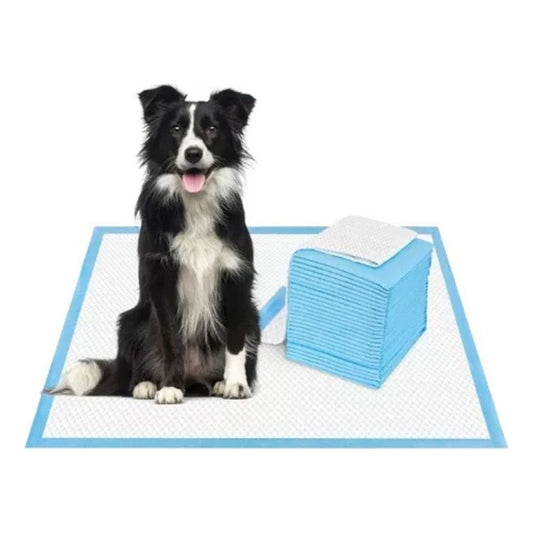 120 Pañales Tipo Sabanillas Mascotas Perros Y Gatos 60x60 Cm