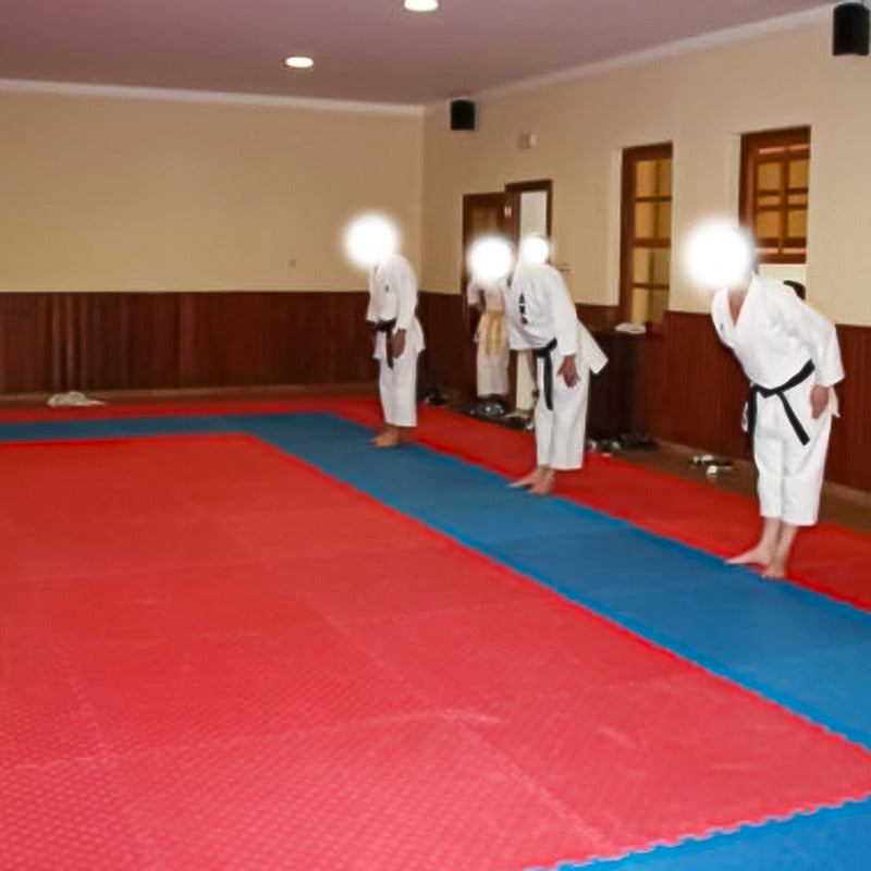 Pack 4 Plancha Tatami 100cm X 100cm X 4cm Rojo Y Azul