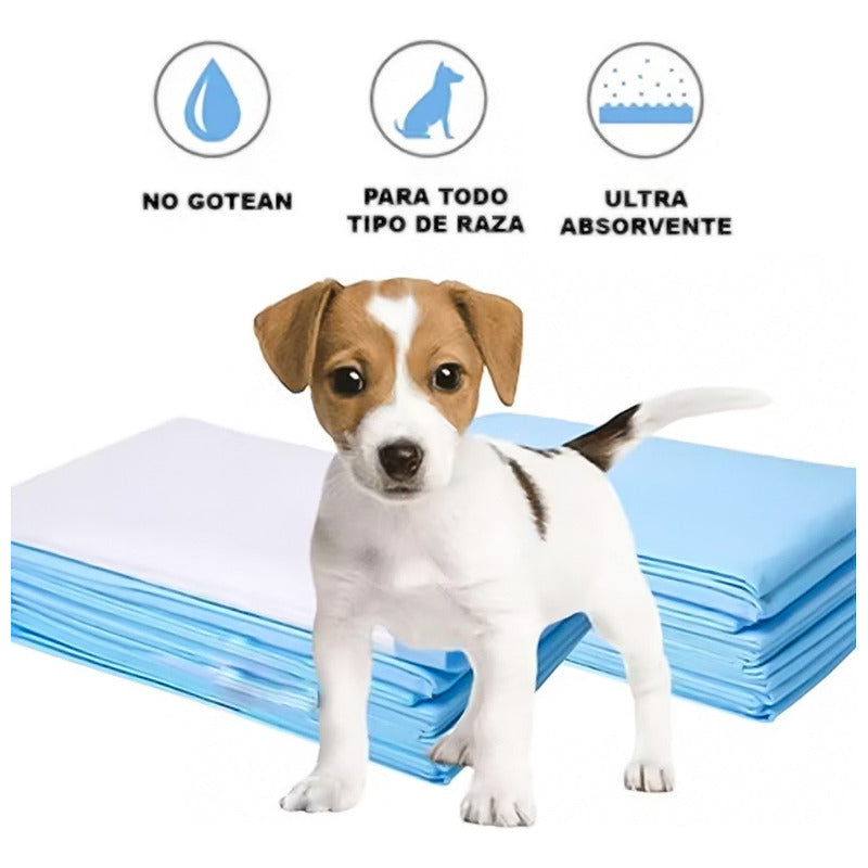 80 Pañales Tipo Sabanillas Mascotas Perros 60x60cm Lavanda