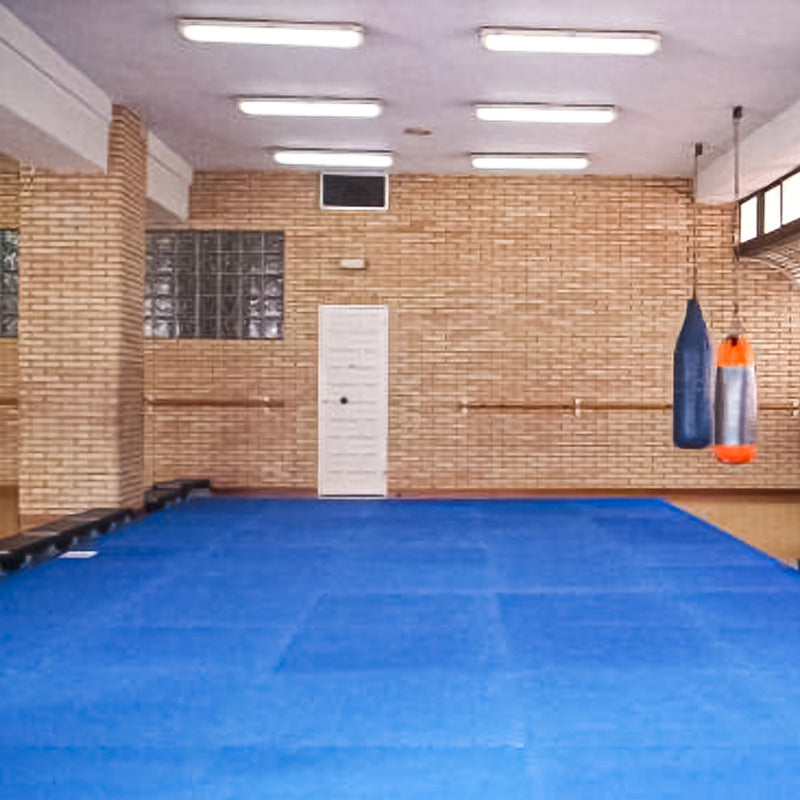 Pack 4 Plancha Tatami 100cm X 100cm X 4cm Rojo Y Azul