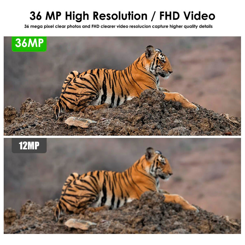 Cámara Caza Nocturna Ip66 Rastreo 36mp 4k Video Full Hd