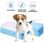 20 Pañales Sabanillas Aroma Adhesivo Mascotas Perros 60x90cm