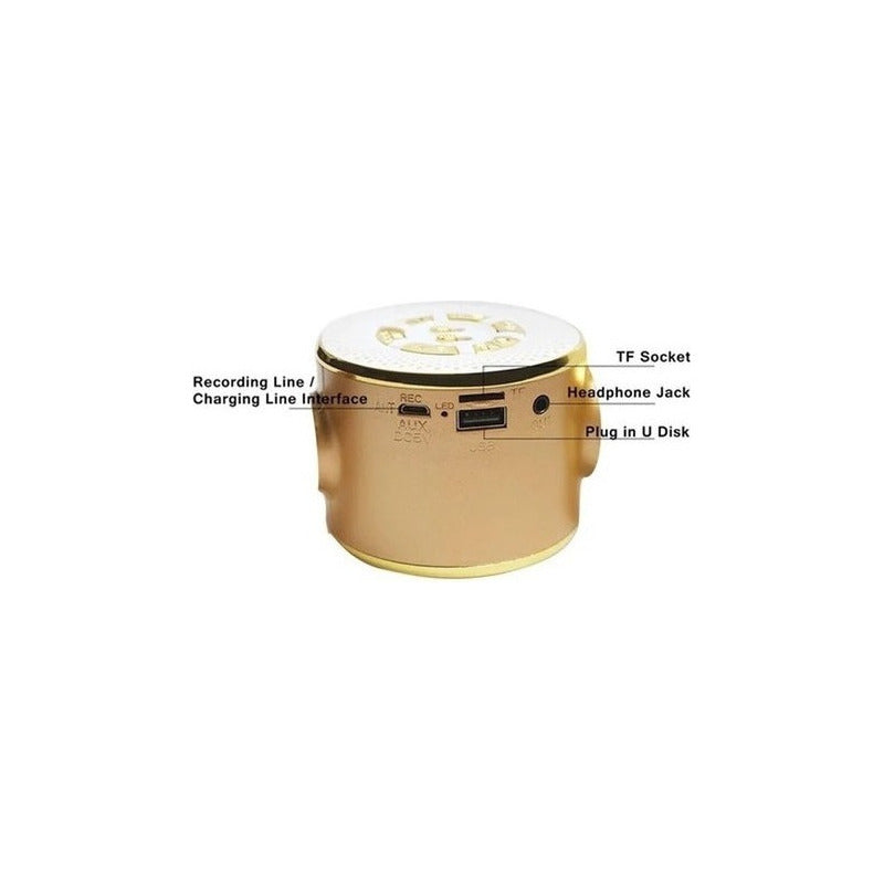 Microfono Karaoke Con Bluetooth Y Parlante Incluye Luces