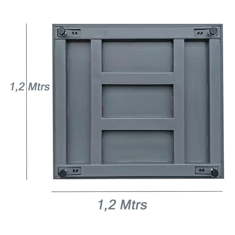 Balanza Plataforma Cabezal Inalambrica 100mtrs 1,2x1,2m 3ton