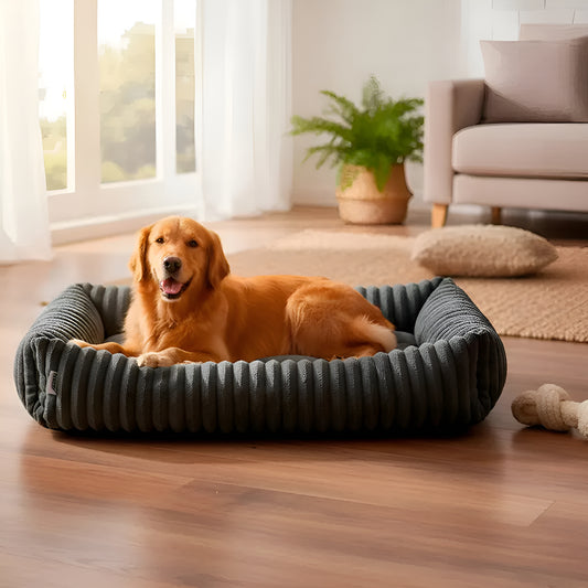 Cama Para Perro Lavable Antideslizante Y Tela 109X76CM