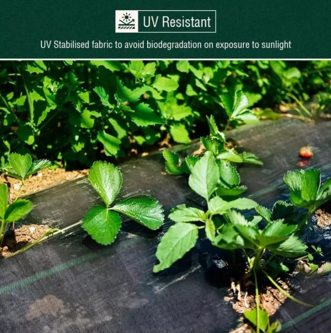 Malla Antimaleza 2x10 Mts Tela Rollo Ground Cover Planta