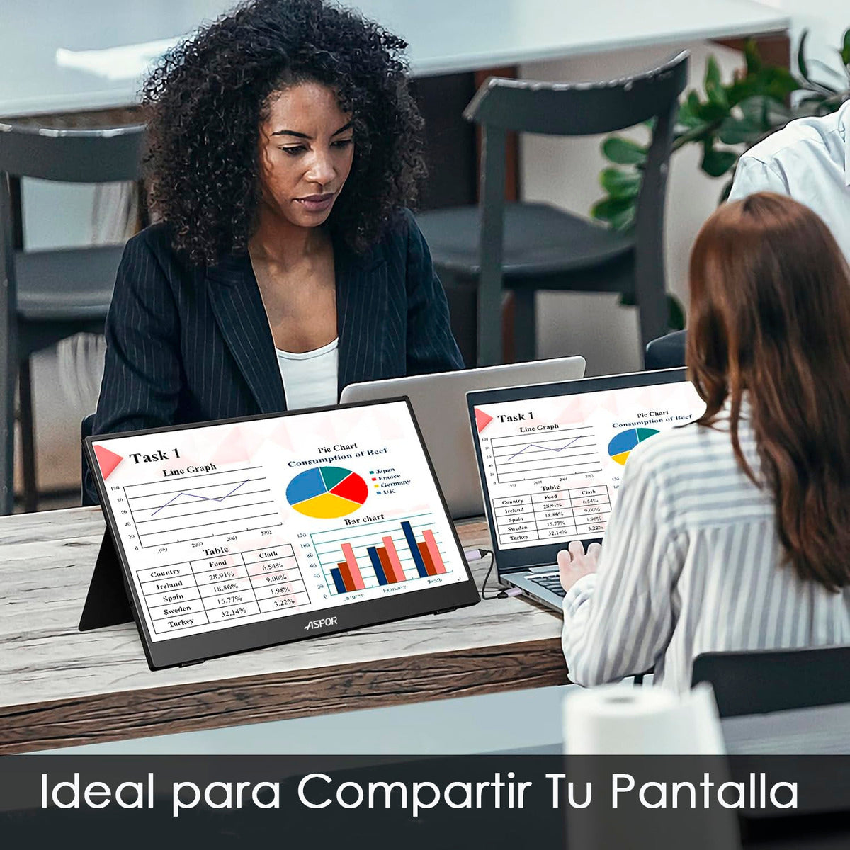 Monitor Portatil 18.5 Pulgadas 120hz Full Hd Con Parlante Y Case Negro